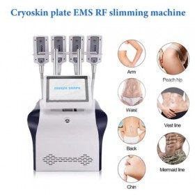 Contour de carrosserie Criolipolisis pagaye de sculpture corporelle, cryoskin EMS RF Fat Freezing Slincming Device de perte d
