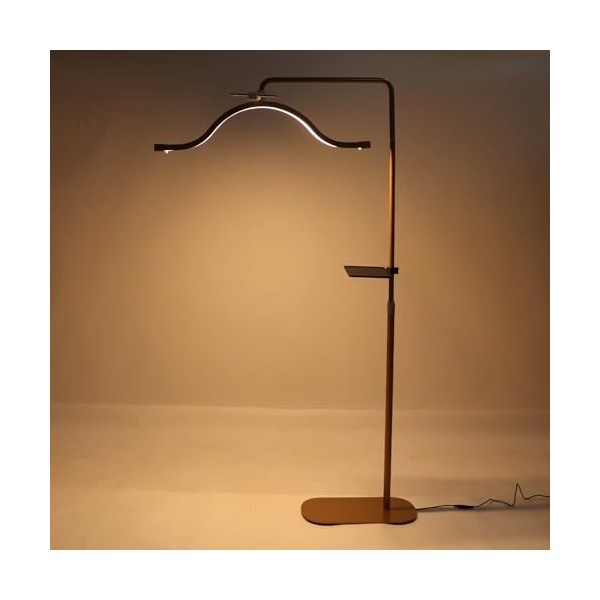 Lampadaire LED Demi-lune 29 Pouces 45 W, Couleur 5600 K, Rotatif à 350 Degrés avec Clip de Téléphone, éclairage Professionnel