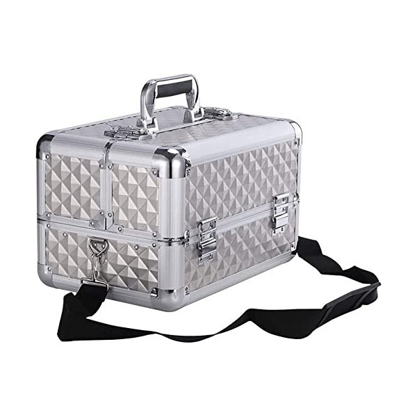 Makeup Train Case for Girls Cosmetic Box Jewelry Organizer Lockable Trays Carrying with Handle Makeup Storage Box Color : Pi