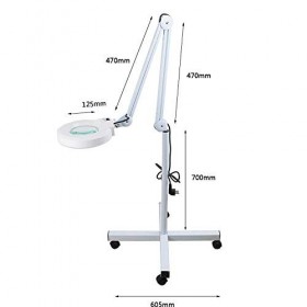 ZAPION Magnifier Beauty Salon Vertical Glass Cold Light Glass Non-Glare Beauty Light Tattoo Light Pick Acne Lamp Floor Lamp T