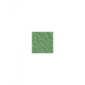 Argile verte 250 g POUDRE