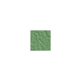 France Herboristerie Argile Verte Poudre 1 Unité