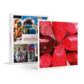 Smartbox - Coffret Cadeau - Atelier de Fabrication de Rouge à lèvres à Paris - idée Cadeau Originale