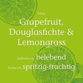 Primavera Fahr fit Duft Roll-On bio 10 ml