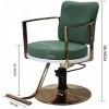 Salon Recliner Lifting and Rotating Beauty Chair Stainless Steel armrests Highly Elastic Foam Cushion/Waterproof Tattoo Chair