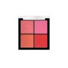 Fashion Make Up - Palette fard à joues "Blush my life" Rich 