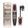 Mascara Fibre De Soie 4D,Mascara Volume ImperméAble Noir,Longue Durée Plus épais,Cils Volumineux,Naturellement Charme Maquill