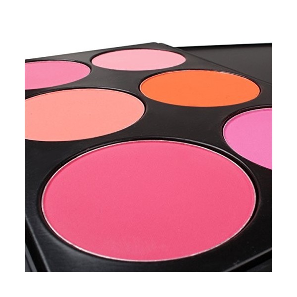 FantasyDay® 6 Couleurs Palette de Maquillage Blush Fard à Joues Poudre Cosmétique Set - Convient Parfaitement pour une Utilis