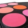 FantasyDay® 6 Couleurs Palette de Maquillage Blush Fard à Joues Poudre Cosmétique Set - Convient Parfaitement pour une Utilis