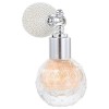 SOESFOUFU 1 Pc Poudre Dairbag De Corps Paillettes Dart Corporel Pulvérisateur De Poudre De Maquillage Spray Poudre Surligne