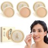 Concealing and Setting Soy Milk Powder,3 Pcs Japanese Concealer Soybean Milk Powder,Japanese Concealing & Setting Soy Milk Po