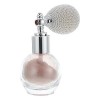 DOITOOL 3 Pièces De Poudre À Pâte En Plastique À Paillettes En Spray