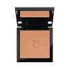 Diego Dalla Palma Compact Powder Highlighter - 31 Nude For Women 0.4 oz Highlighter