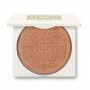 Alaya Luxury Makeup Colletion Sunny Soft Touch Poudre bronzante