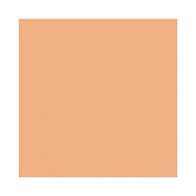 MAC Pro Longwear Nourishing Waterproof Foundation - NW20 by M.A.C