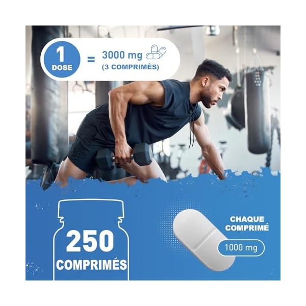 VitaminPure CREATINE MONOIDRATE MICRONIISÉE 250 Comprimés 3000mg à dose - Créatine Monohydrate Pure Pour Force, Récupération 