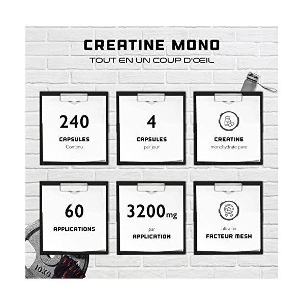 Créatine - 240 gélules végétaliennes - Hautement dosé avec 3200 mg de créatine monohydratée par jour - Premium : ultra fin + 