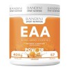 Bandini® EAA POUDRE ZERO | Acides Aminés Essentiels 400gr Powder | Supplément Végétalien et Sans Sucre | Apport Optimal de 9 