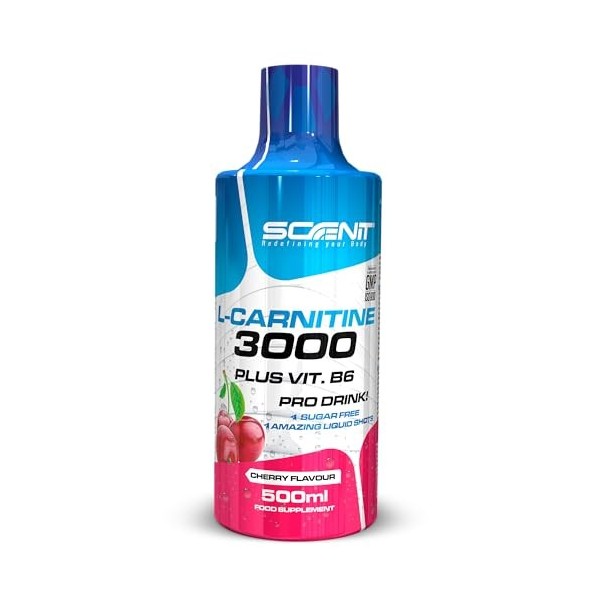 L Carnitine 3000 - L Carnitine - L-Carnitine - L Carnitine Liquide - Carnitine Liquide - LCarnitine - Carnitine Pure - L-Carn