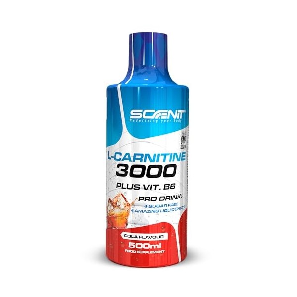 L Carnitine 3000 - L Carnitine - L-Carnitine - L Carnitine Liquide - Carnitine Liquide - LCarnitine - Carnitine Pure - L-Carn