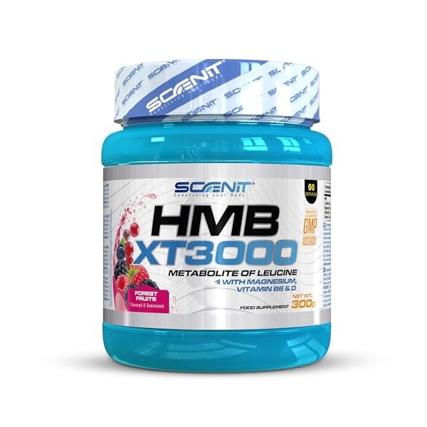 HMB XT 3000-3000 mg de HMB Musculation poudre avec saveur - HMB Poudre avec Glutamine, Magnésium, Vitamine B6 et Vitamine D -