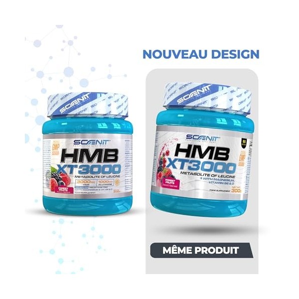 HMB XT 3000-3000 mg de HMB Musculation poudre avec saveur - HMB Poudre avec Glutamine, Magnésium, Vitamine B6 et Vitamine D -