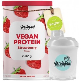 Poudre de protéines végétaliennes avec shaker différents goûts poudre végétalienne avec B2 et zinc – Alternative à la poudr