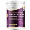Poudre de Collagene 500g - Premium Peptides de Collagène Hydrolysés de Type 1-50 Portions - Collagen Hydrolysat de Collagene 
