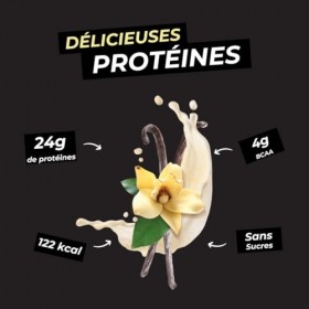 Ozers Protéine Végétale Vanille / 4 sources : Pois, Fève, Riz, Courge / 79% de protéines / 4g BCAA/Sans sucre/Texture onctueu