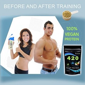 GAIAHEMP 420 Protéine de chanvre, Protéine Végétalienne, Pulver Noix de coco, 500 