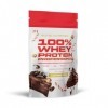 Scitec Nutrition 100% Whey Protein Professional avec des acides-aminés clés et des enzymes digestives, sans gluten, 500 g, Gâ
