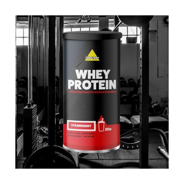 Inkospor Whey Protein 600g Fraise