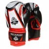 Bushido Rękawice Bokserskie Sparing 407v2 / 6 oz