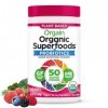 Orgain Bio SuperFoods Berry .62 Ib