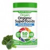 Orgain Bio SuperFoods Original .62 Ib