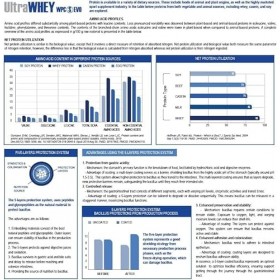 YAMAMOTO NUTRITION Ultra Whey WPC S EVO - Pot de 2 kg, goût chocolat, sans gluten - Complément alimentaire de protéines de sé