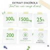 Poudre dacérola - 300 g approvisionnement de 6,6 mois - Vitamine C naturelle - 200 portions quotidiennes avec 1500 mg dex