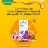 Zarbeil Sirop Immunité Adultes, Extrait d’echinacée et Vitamines, pour renforcer limmunité, à partir de 12 ans, 120ml