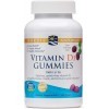 Nordics Vitamine D3 Gummies, baies sauvages – 120 bonbons gélifiés – 1000 UI de vitamine D3 – Bon goût – Des os, une humeur 