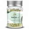 Herbes du Monde - Fucus IO2 Phyto-actif 90 Gélules: Complément Alimentaire Coupe-faim & Aide Minceur, Fabriqué en France, Sou