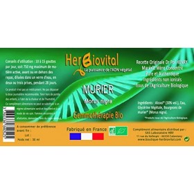 Herbiovital - Murier Bio - Le Macérât bruleur de graisses - Réduit l’absorption des sucres par le métabolisme - Fabriqué en F