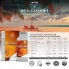 BETA CAROTENE - 240 COMPRIMES 8 mois | Autobronzant Gelule | Bêtacarotène pour un Bronzage Fort, à partir d’Extrait de Caro