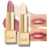 Oulac Metallic Shine Lipstick Set