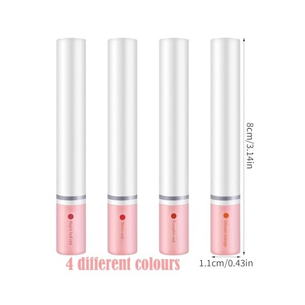 Ensemble De Maquillage De Rouge à Lèvres, 4 pcs Kit De Brillant à Lèvres Longue Durée Imperméable, Rouges à Lèvres Liquides, 