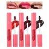 Lip Tint Stain Peel Off Set-3 couleurs Lipstain, Rouge à lèvres liquide imperméable longue durée, Matte Magic Tattoo Lip Line