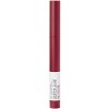 Maybelline New York Super Stay Ink Crayon 60 Accept a Dare 2 g