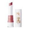 Bourjois Rouge Velvet The Lipstick - 19 - Place Des Roses - Collection French Riviera Mauve Rose Formule qui ne sèche pas - F