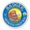 Badger - Winter Wonder Balm, Aromatique Chest Rub - 2 Oz