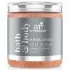 Art Naturals Himalaya sel Paroles de Gommage Exfoliation - 20 oz/567 g