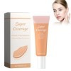 Liquide Concealer, Fond De Teint Concealer 60ml Lisse Et Imperméable Natural Concealer Liquid, Fond De Teint Concealer Lisse 